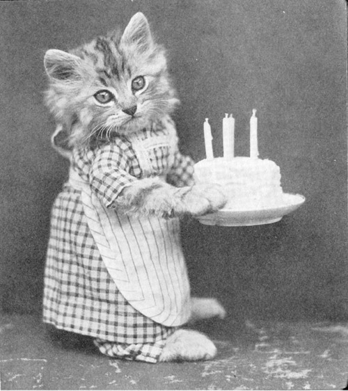 birthday+cat+vintage.jpg"width=300"